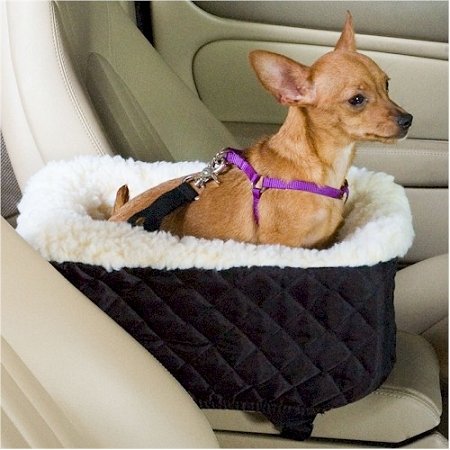 Snoozer Pet Dog Cat Puppy Outdoor Console Lookout Car UV Secure Safety Travel Seat Small Grey Quilt