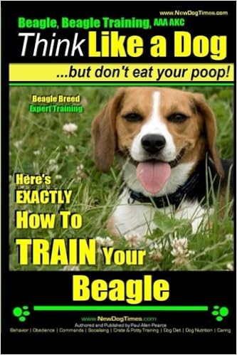 beagle eats poop