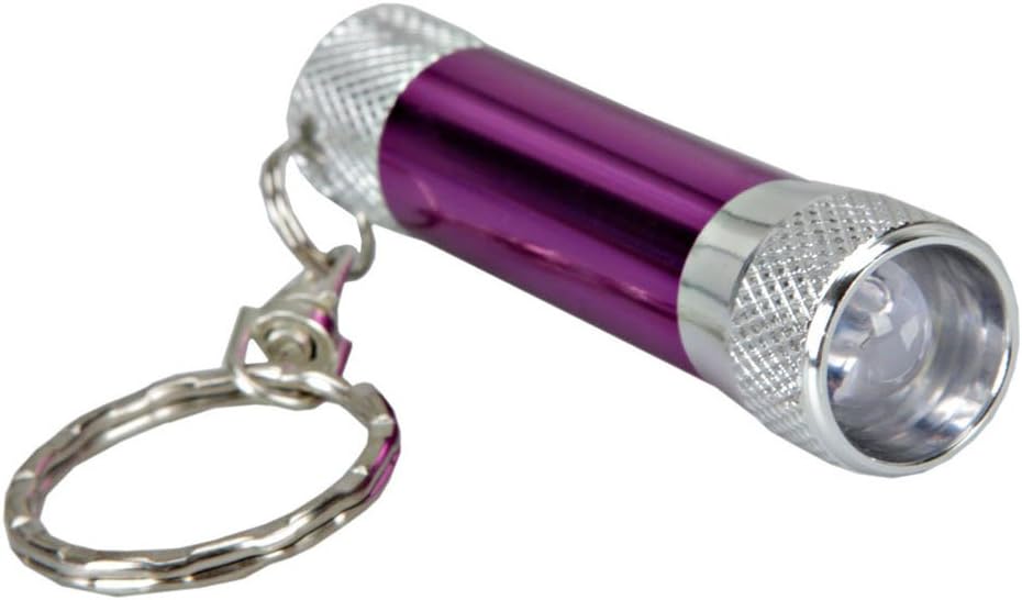 Crazy K&A Mini Micro LED Keychain Key Ring Super Flash Bright