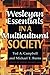 Wesleyan Essentials in a Multicultural Society by Ted  A. Campbell, Michael  T. Burns