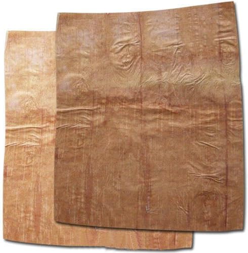 vinarghya - Betula Utilis/Bhojpatra/Bhurjjamaram/Purchcham/Bhujapatram/Bhujaatri/Bhuyapatra/Bhurj/भोजपत्र - 5 PCS