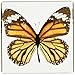 Monarch Butterfly Paperweight(3x3x1