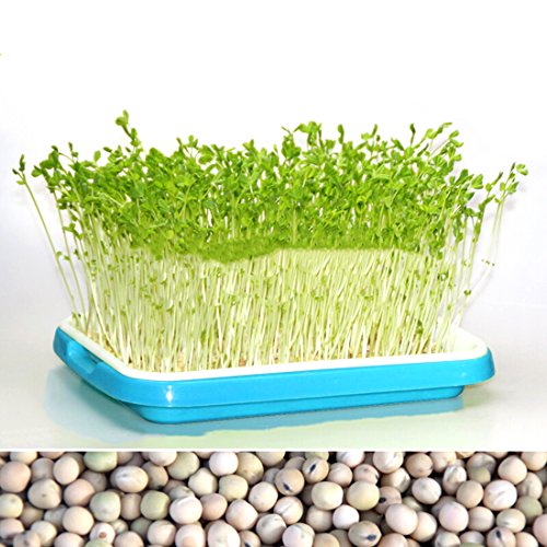 Seed Sprouter Tray, RuiyiF 2 Set Seed Germination Trays with Water Tray, Wheatgrass Tray/Bean Sprout Grower (Blue + White) - Thumbnail 4