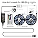 scurry 32.8FT LED Strip Lights, Composed of 300 Waterproof Color Changing Light and Self-Adhesive Tape with 44 Keys IR Remote Controller and DC 12V 5A Power Adapter, for Home, Kitchen, Bar, Party