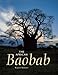 The African Baobab by Rupert Watson