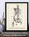 Medical Book Skeleton Torso - 11x14 Unframed Art Print - Great Gift For Nurse, Doctor and Medical Student and Home and Office Decor Under $15