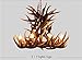 6+3 Head 9+3 Head 9+6 Head 9+9 Head Candle Antler Chandelier American Retro Resin Deer Horn Lamps Home Decoration Lighting E12 UL Listed (9+6Heads)