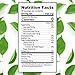 100% Natural Soursop Tea by Source Nutrition - Pure Graviola Tea, Cut and Sifted Leaves, High in Acetogenins - 30 Tea Bags With Resealable Pouch (Soursop Tea)