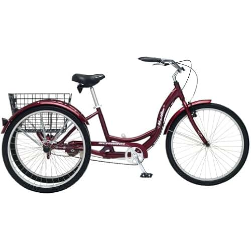 Amazon.com: tricycles for adults