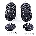 172203 Front Struts Complete Assembly Compatible with 2003 2004 2005 2006 2007 Saturn Ion Shock Absorber Coil Spring Assemblies