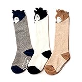 Lace Ruffles and Bow Knee High Socks For 1Y - 12Y (9-10 YR, 3Pairs Raccoon Socks)