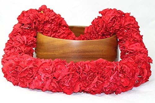 Hawaiian Carnation Fresh Flower Garland Lei - Red