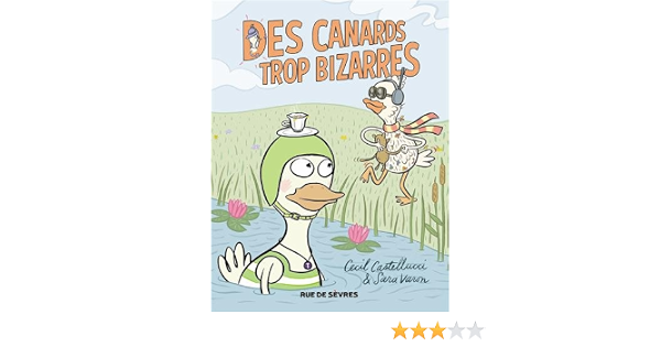 Des Canards Trop Bizarres Jeunesse French Edition Castellucci Cecil Varon Sara Amazon Com Books