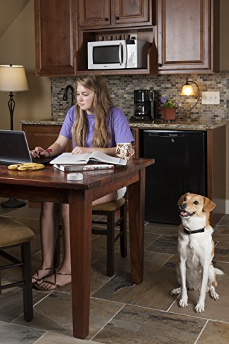 PetSafe Pawz Away Pet Barriers with Adjustable Range, Pet Proofing for Cats and Dogs, Static Stimulation