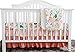 Secret Garden Coral Floral Ruffle Baby Minky Blanket Water Color, Peach Floral Nursery Crib Ruffle Skirt Set Baby Girl Crib Bedding (Secret Garden 3 Pieces Set)