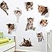 Amaonm 9 PCS Removable 3D Cute Animals Wall Decals Lovely Cat Dog Hamster Through The Wall Fun Kids Room Stickers Nursery Room Wall Art Decor Bathroom Decal Babys Stickers Classroom Decoration Decal