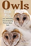 Birds of Prey: Owls! A Bird Book About Owls Featuring The Barn, Snowy, Screech Owls and More, With Amazing Pictures, Information And Fun Facts.
