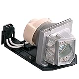 Litance Projector Lamp Replacement for Optoma BL-FP230D, HD20, HD22, HD200X, HD2200, TX615, TX612, EX612, EX615, HT1080, EH1020, TH1020, HD180, HD200X-LV and More