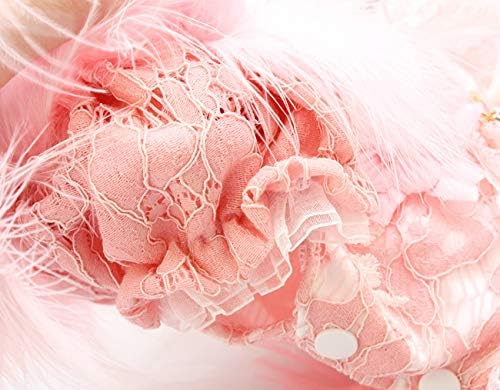 Zlovepet 犬のワンピース 白鳥 Xs ピンク B01hwrwxas 1 6円 人気海外一番 100 品質保証 全品送料無料 即日出荷 Sale開催中
