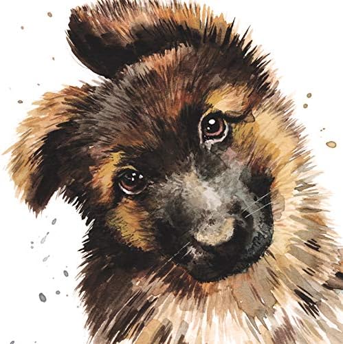 Puppy Dog Eyes Card Collection German Shepherd Georgie Amazon Co Uk Office Products