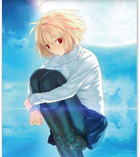 Amazon Co Jp Type Moon展 イラストタペストリー 月姫 ホビー 通販