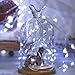100ft 300LED Pure White Starry String Lights on a Flexible Copper Wire - Perfect For Creating Instant Appeal in Any Setting - Parties, Bedrooms, or an Intimate Environment Anywhere in the Home