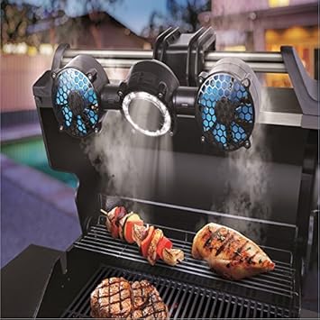 15 recettes au barbecue à moins de 300 calories  Kakinou Light 