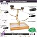 Birds LOVE Tabletop T-Stand Deluxe Play Gym Bird Stand for Cockatiels Conures African Greys Amazons-Includes 2 top perches Easy Assembly Easy to Clean 19″ H x 16″ L x 13.25″ Dthumb 4