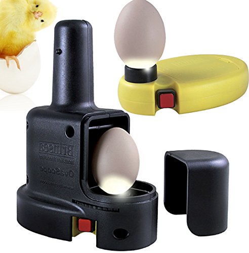 Avianweb OvaScope HIGH Intensity Egg Candler - for Highest Possible Visibility of The Growing Embryo Inside The Egg - Suitable for Darker, Mottled or Thicker-shelled Eggs