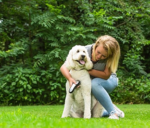 Wahl Professional Animal Pro Ion Cordless Pet Clipper Trimmer Grooming Kit #9705