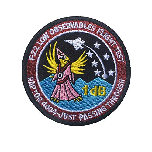 OYSTERBOY AIR Force F22 F-22 Low Observables Flight