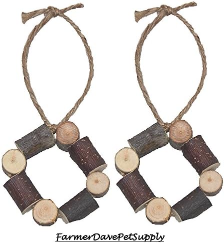 FarmerDavePetSupply Ring Toss Apple Chew Toy for Small Animals - Dual Pack