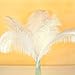 AWAYTR 10-12 inch (25-30cm) Natural Ostrich Feathers for Wedding Centerpieces Home Decoration,Flower Arrangement,DIY Christmas Decorations (50pcs,White)