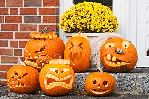 MeiGuiSha 10 Pieces Professional Wooden Pumpkin Carving Tools Kit - 13 Cuts, Scoops, Scrapers, Saws, Loops, Knives with Reusable PU Case Set