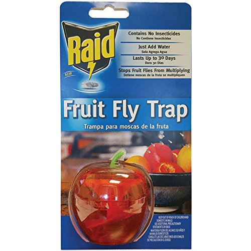 Raid Apple Fruit Fly Trap - //medicalbooks.filipinodoctors.org