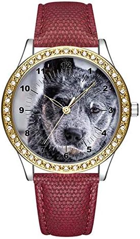 Diamond Womens Leather Watch,Fashion Casual Gold Watches for Women,Waterproof Ladies Brown Wrist Watch 075.Australian Cattle During Snow(Brown)