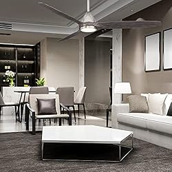 Skylark Indoor and Outdoor 3-Blade 62in Smart