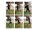 Rope Bat - The Ultimate Rope Bat Hitting System w/ 3 Smushballs - Baseball & Softball Swing Trainer, Training Tool, Batting Aid