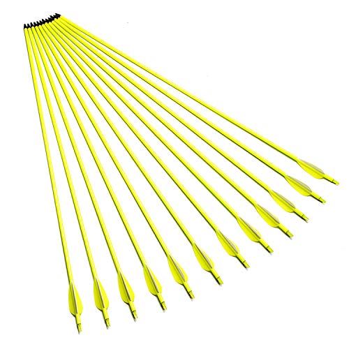 image for XGeek 30in Carbon Arrows Shafts,Practice Arrows for Target Shooting,Co