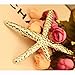 Ella-jewelry Fashion Stylish Metal Starfish Hairclip Special Sea Lover Star Hair Clip for Women Girl Baby
