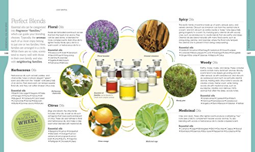 Essential Oils: All-natural remedies and recipes for your mind, body and home - Thumbnail 4