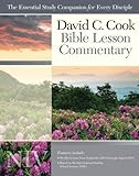 David C. Cook NIV Bible Lesson Commentary 2013-14 (David C. Cook Bible Lesson Commentary: NIV) by Dan Lioy