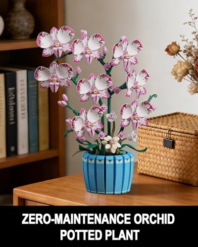 TYCOLE Orchidea Set da Costruire, 779 Fiori Artificiali Botanicals Decorazione Casa Ufficio, Regalo Bambini Adulti Adolescenti, Compleanno, Natale, San Valentino