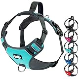 Black Rhino - The Comfort Dog Harness with Mesh
