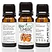 BioFinest Turmeric Oil - 100% Pure Turmeric Essential Oil -Relieve Joint Pain Arthritis Bloating- Premium Quality - Therapeutic Grade - Best For Aromatherapy - FREE E-Book (10ml)