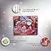 Purple Ladybug Novelty Santa Workshop Advent
