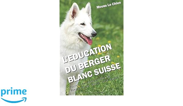Leducation Du Berger Blanc Suisse Toutes Les Astuces Pour