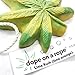 Dope on a Rope Soap, Lime Kush, Soap on a Rope, Key Lime Sweet Orange Essential Oils (Pack of 1)