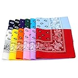 Paisley One Dozen Cowboy Bandanas
