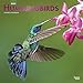 Hummingbirds 2020 12 x 12 Inch Monthly Square Wall Calendar with Foil Stamped Cover, Animals Wildlif by 